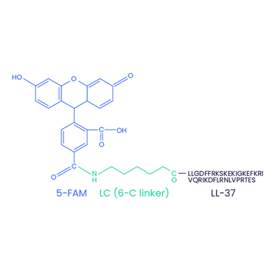 5-FAM-LL-37 (kodirano) CAS 2022972-73-0