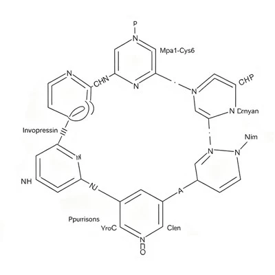 CAS 1488411-60-4 Invopresin