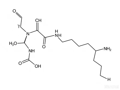 CAS:33932-35-3:Glutationilspermidin